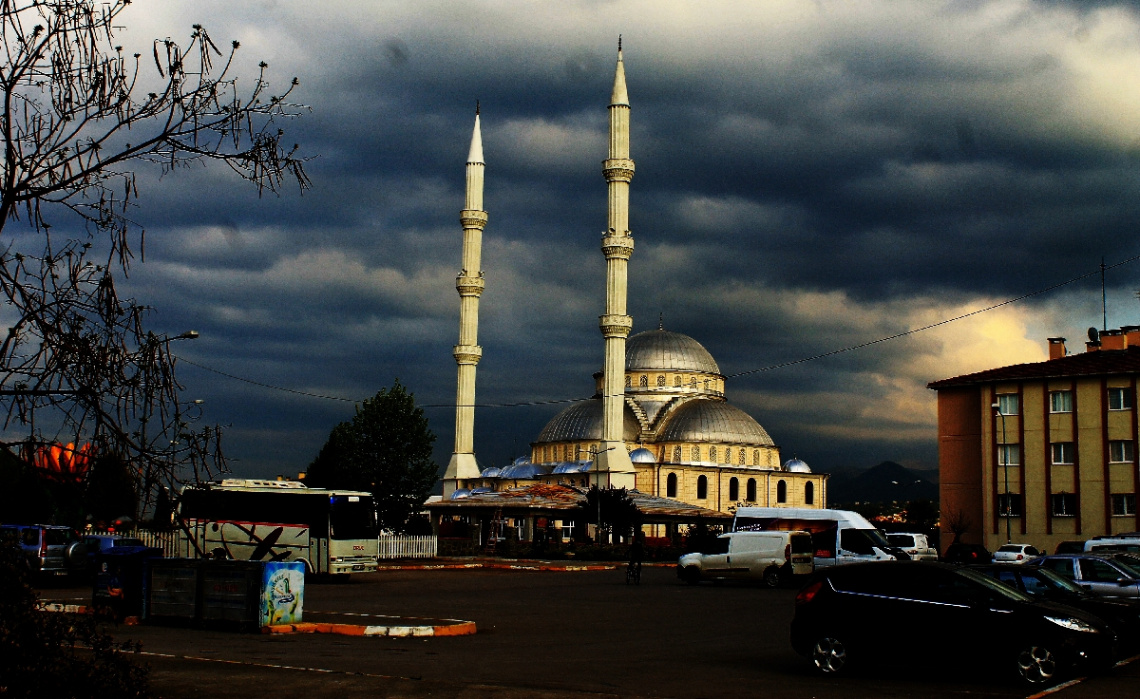 Cami Manzarası 