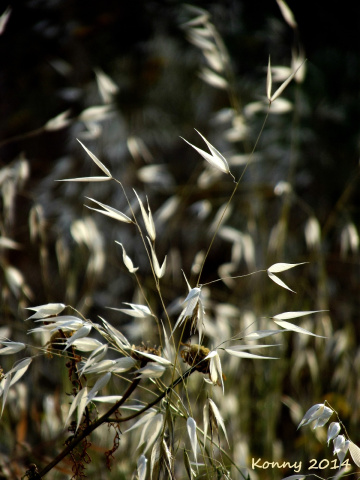 Everything has its own beauty.... You just have to open your eyes and your mind to see it......