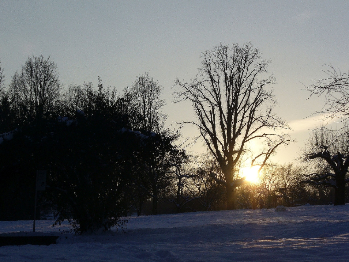 Winter 2010/2011