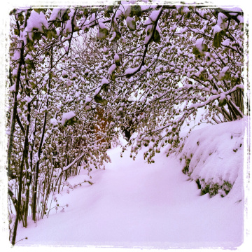 kışın güzellikleri