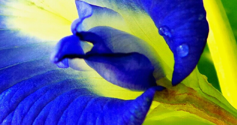 Bluest blue