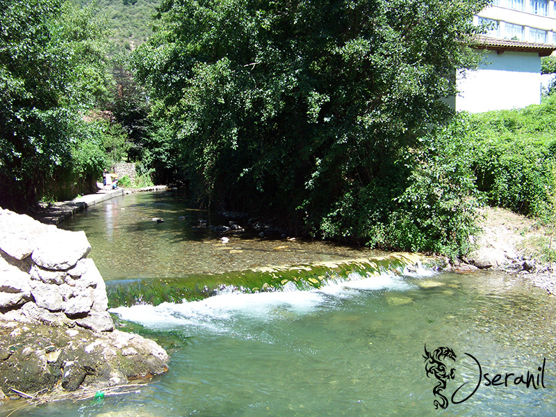Potes