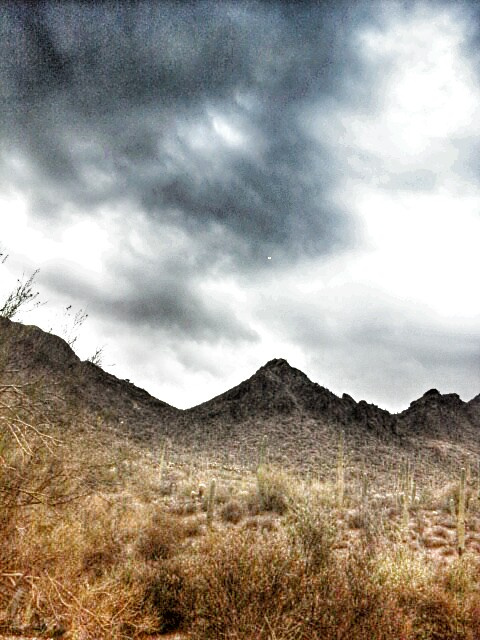 Desert Storms