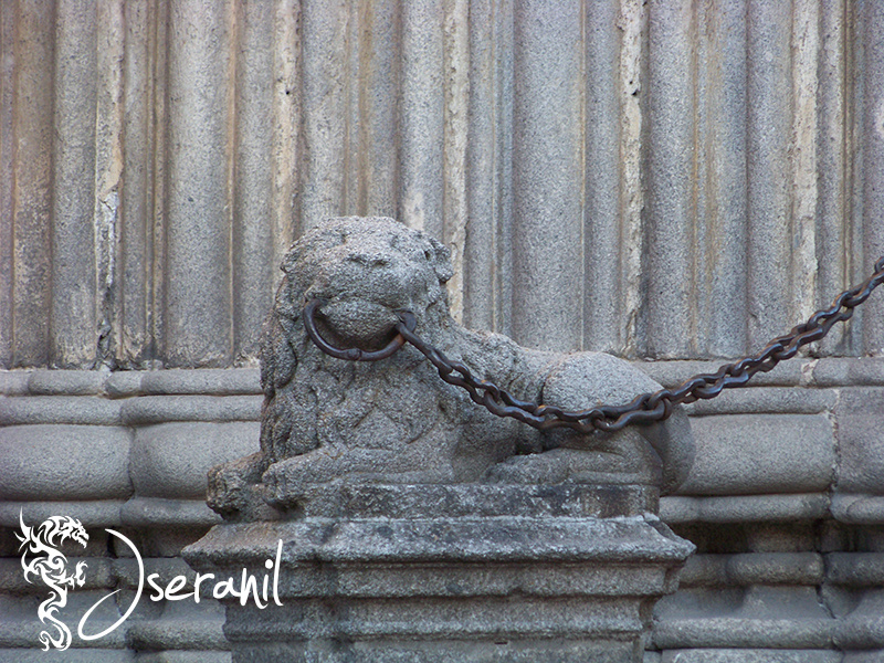 Lions in Avila