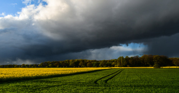 Sun and rain at the same time