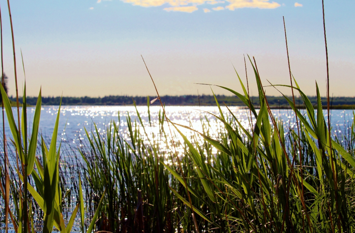 Light on the Lake