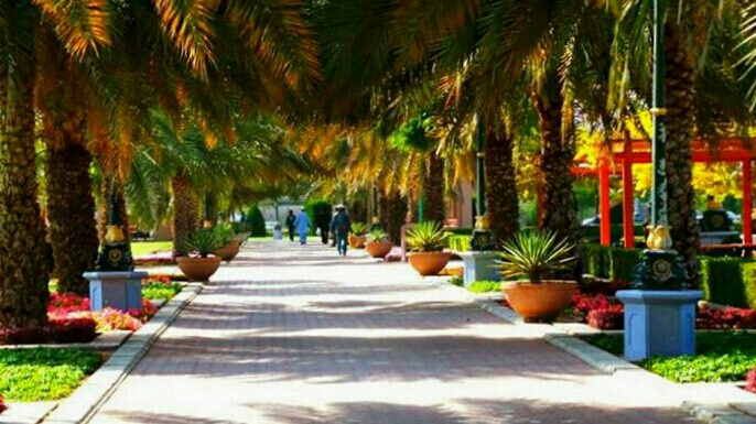 park pathway