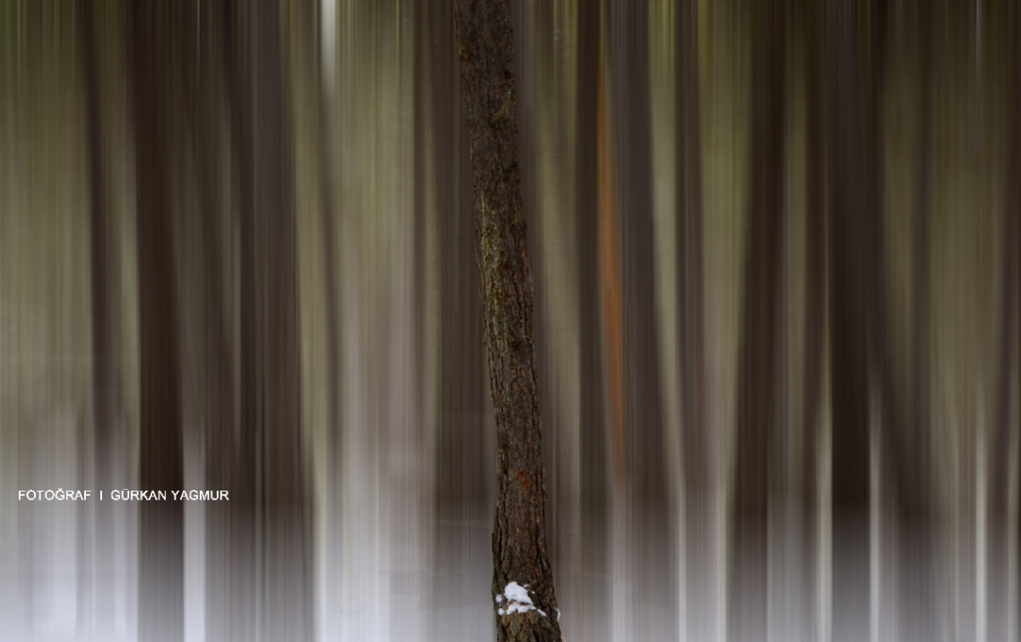 Motion blur