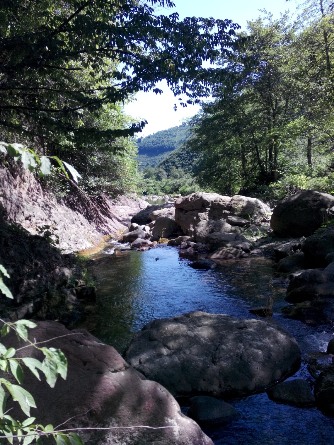 karadenizde doğa