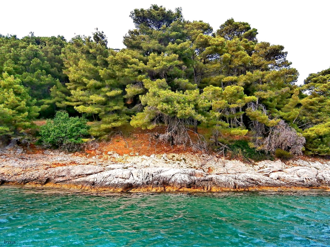 On my island! :)