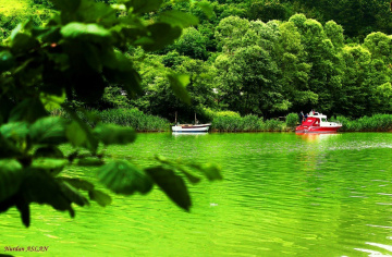 Bartın River