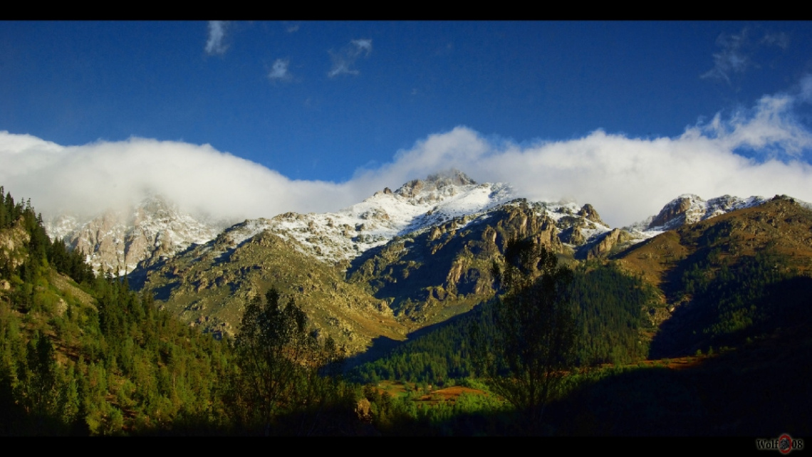 Artvin/Barhal...