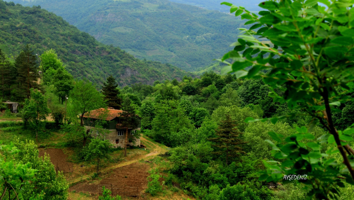 HUZUR VERİYOR İNSANA