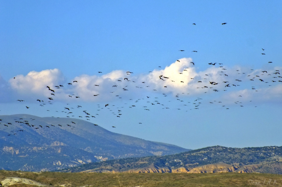 ankara