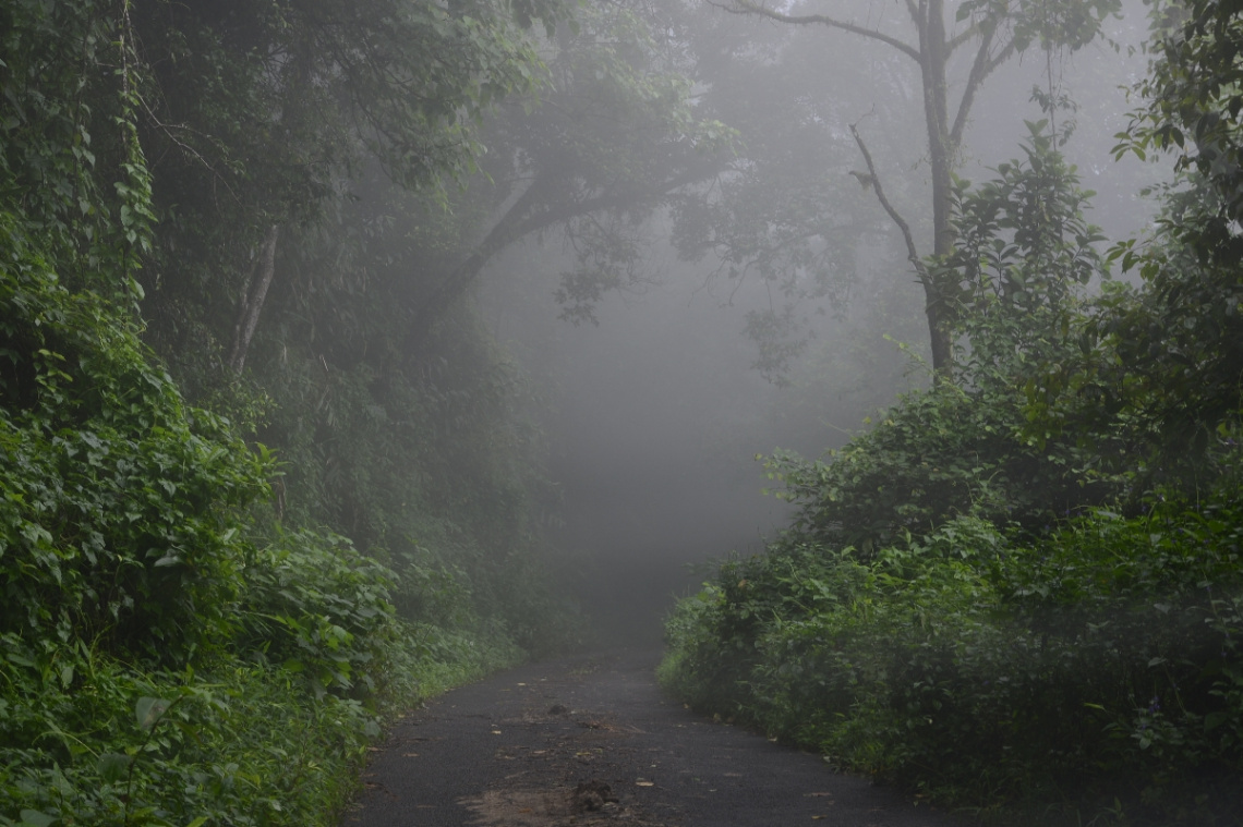misty way