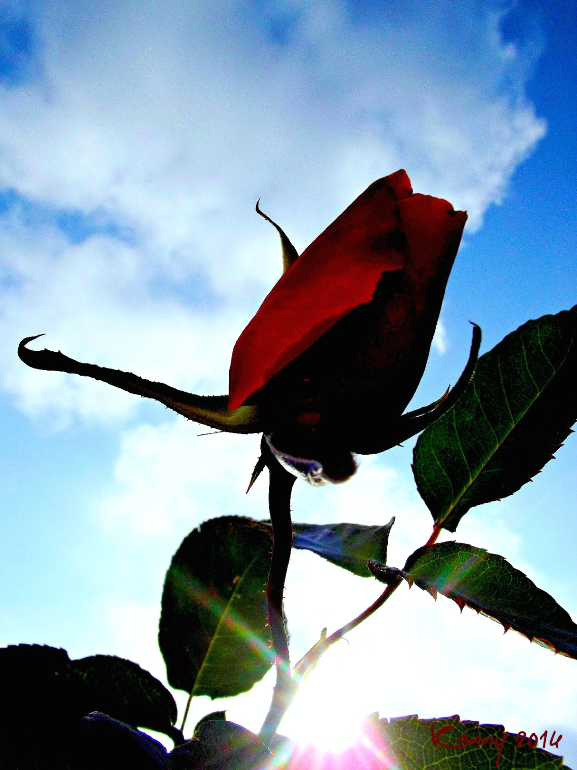 up to the sky... :)