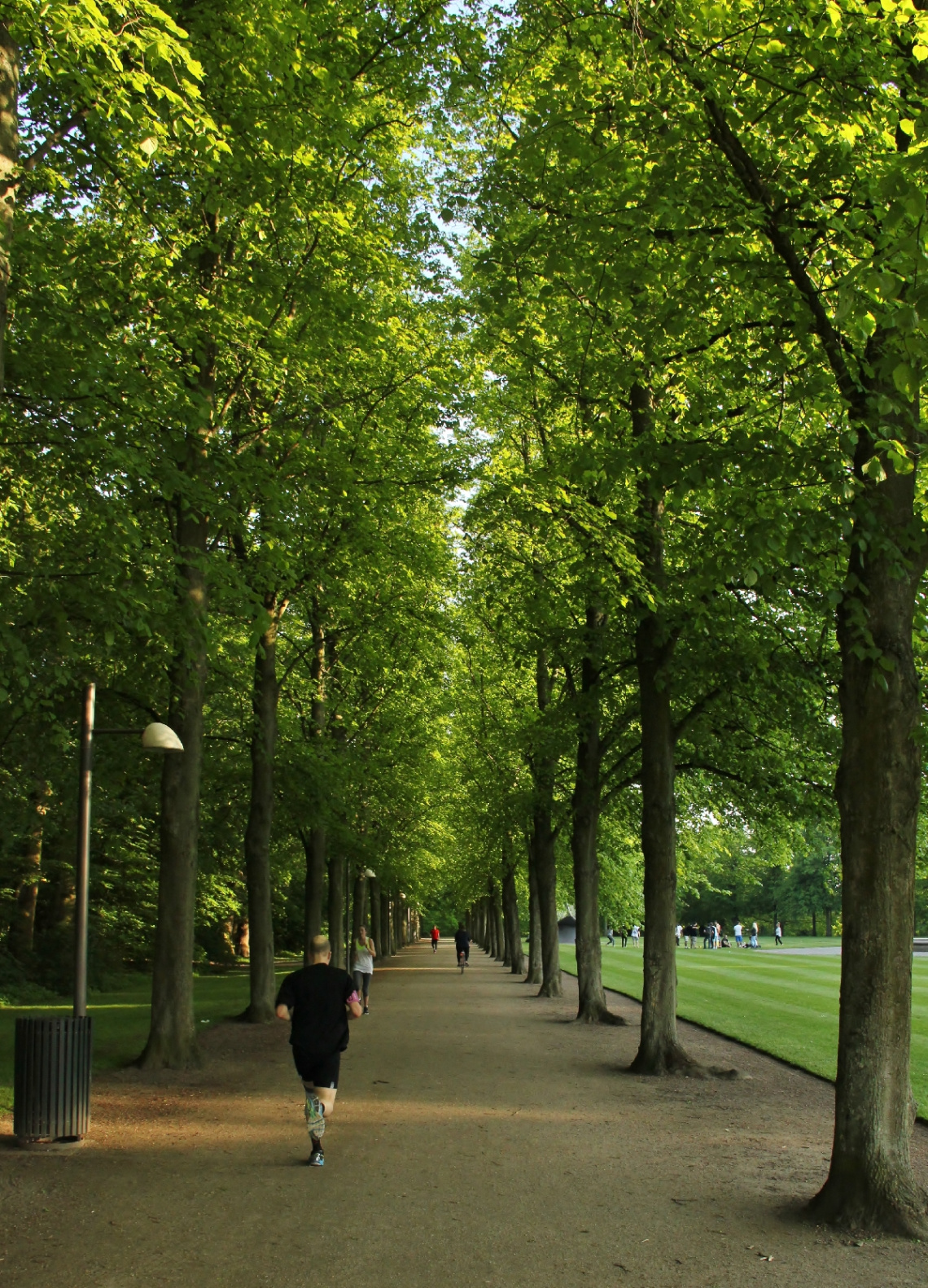 Running Between Green Walls 