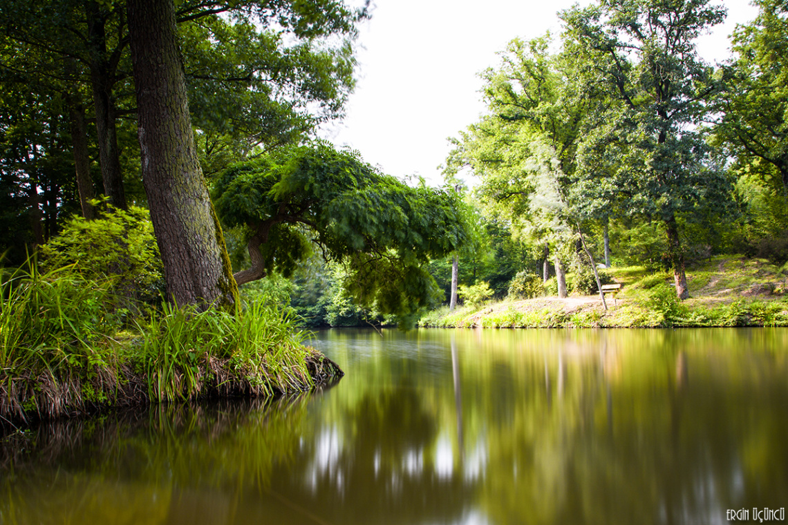 Atatürk Arboretumu