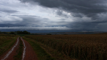 Arcus