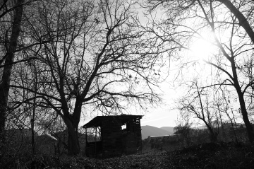 siyah beyaz 