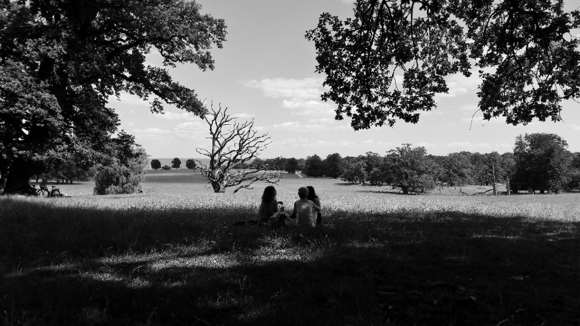 The Deer Park In Klampenborg 1914  :)