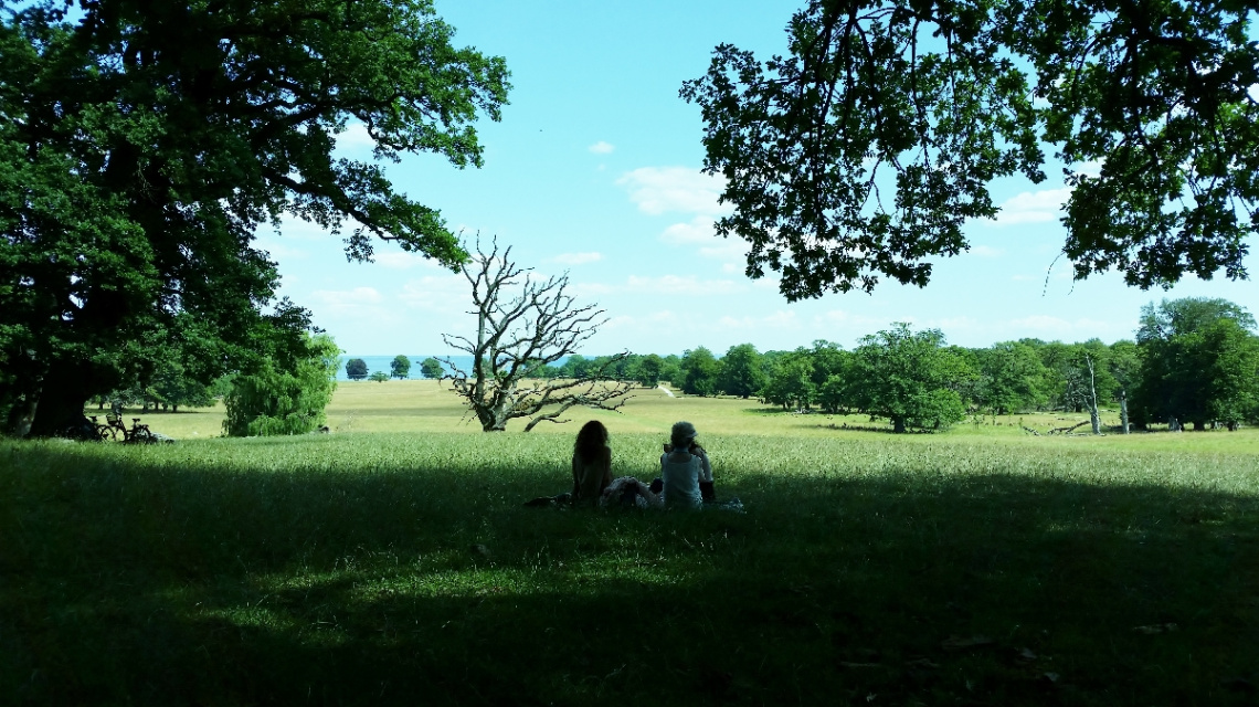 The Deer Park In Klampenborg - 2014