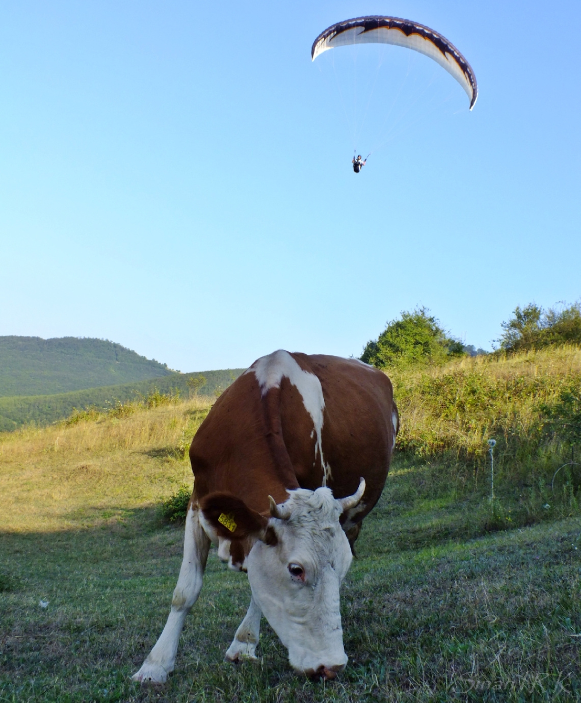 doğa