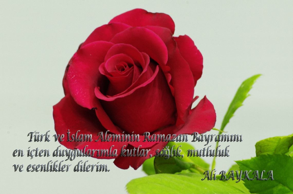 Nice Bayramlara