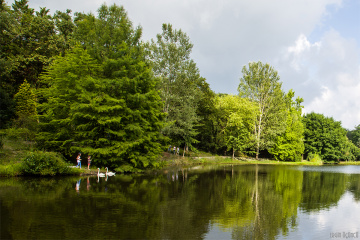 Atatürk Arboretumu III