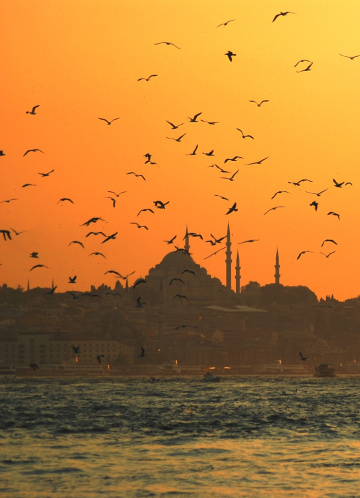Uçun kuşlar uçun