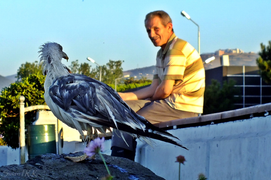 Bakışmak