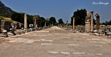tarih