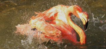 Cooling Down