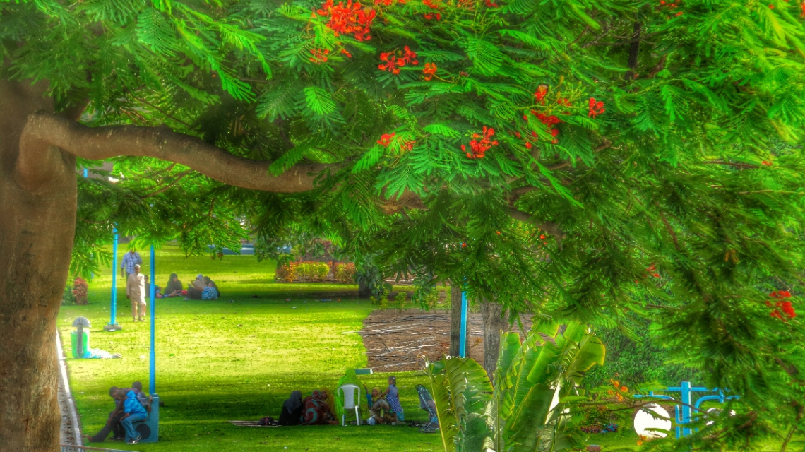 Green Heaven