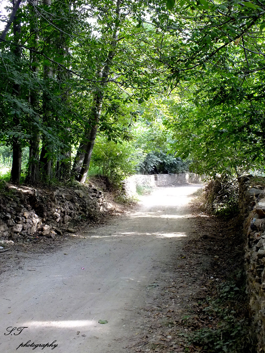 Yeşil