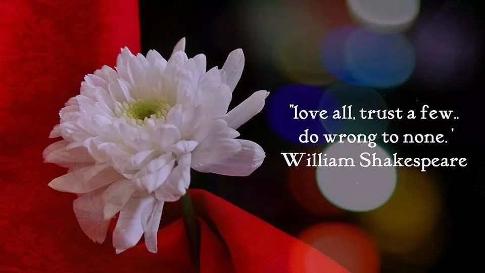 Bestow Your Love Upon The World