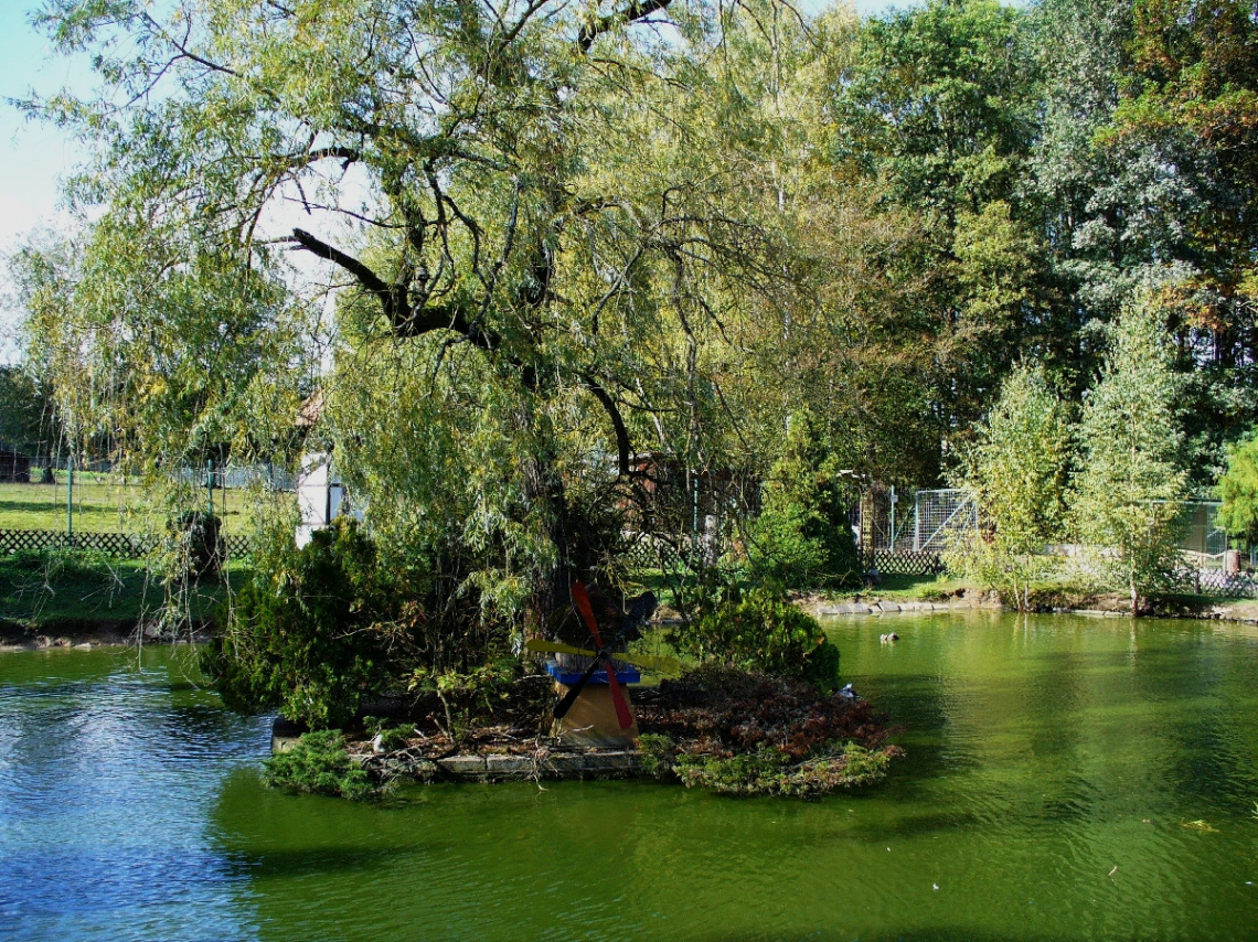 Teich in einem Tierpark