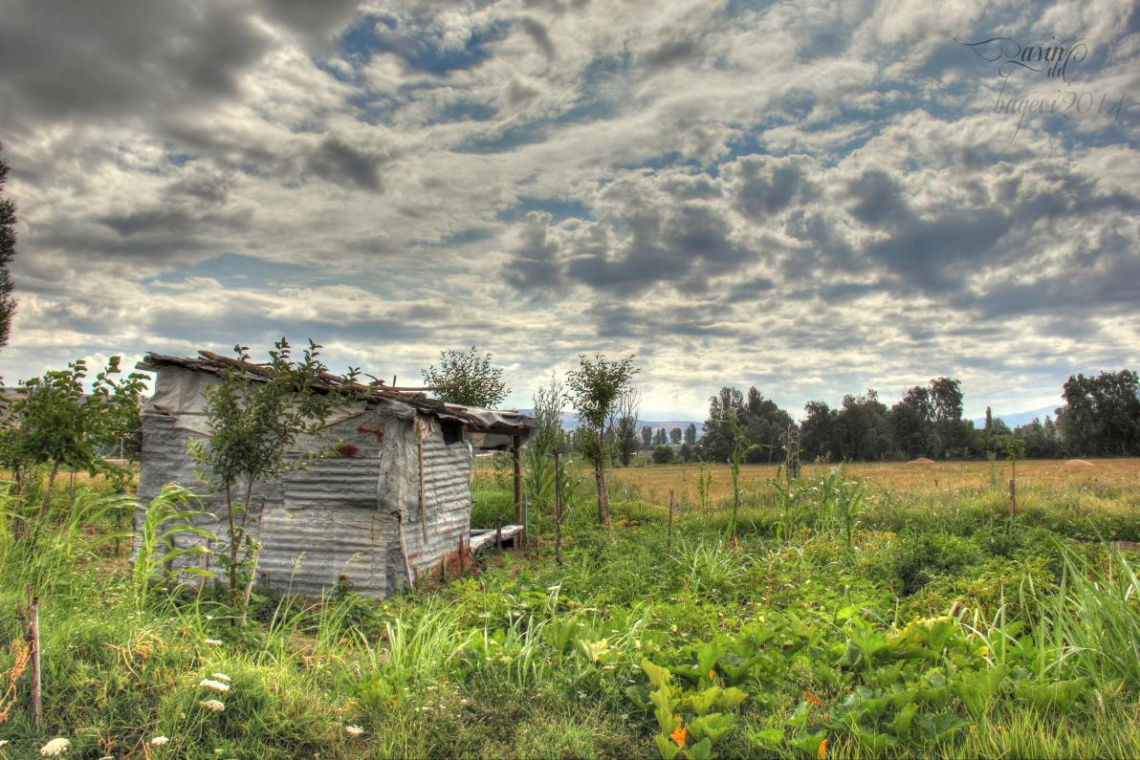 BAĞ EVİ   