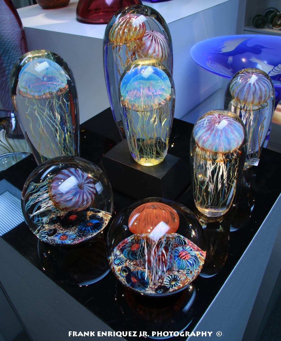 Jelly Fish Glass