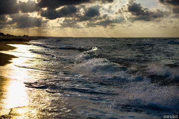 Wave