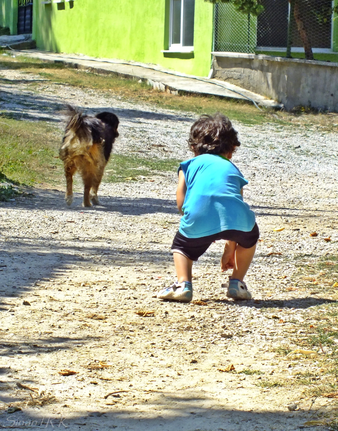 doğa
