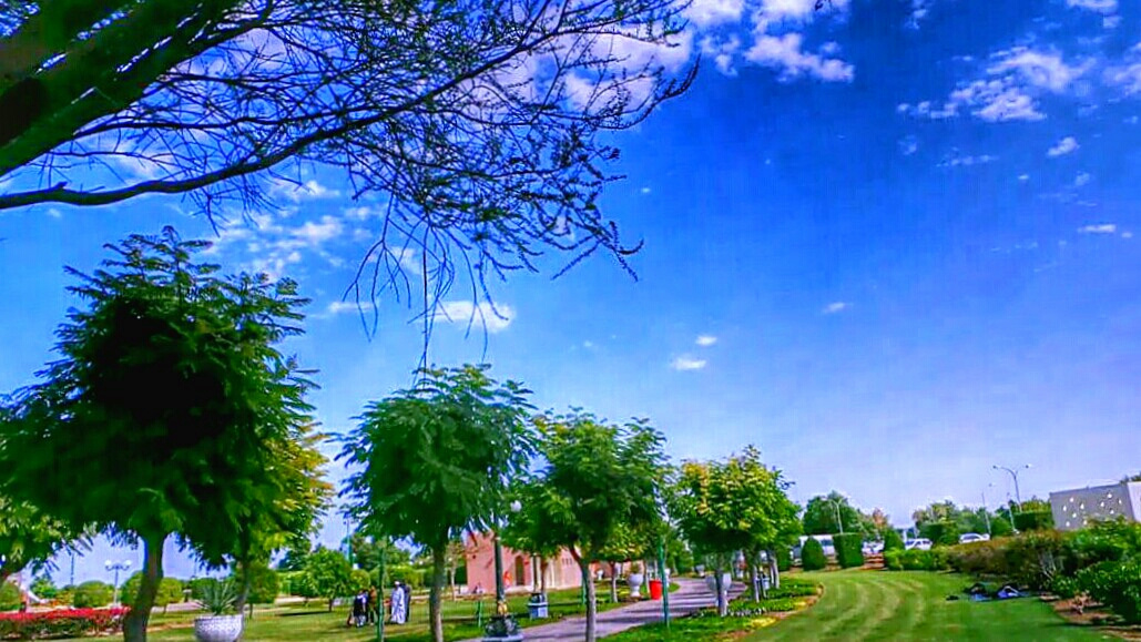 Blue Heaven