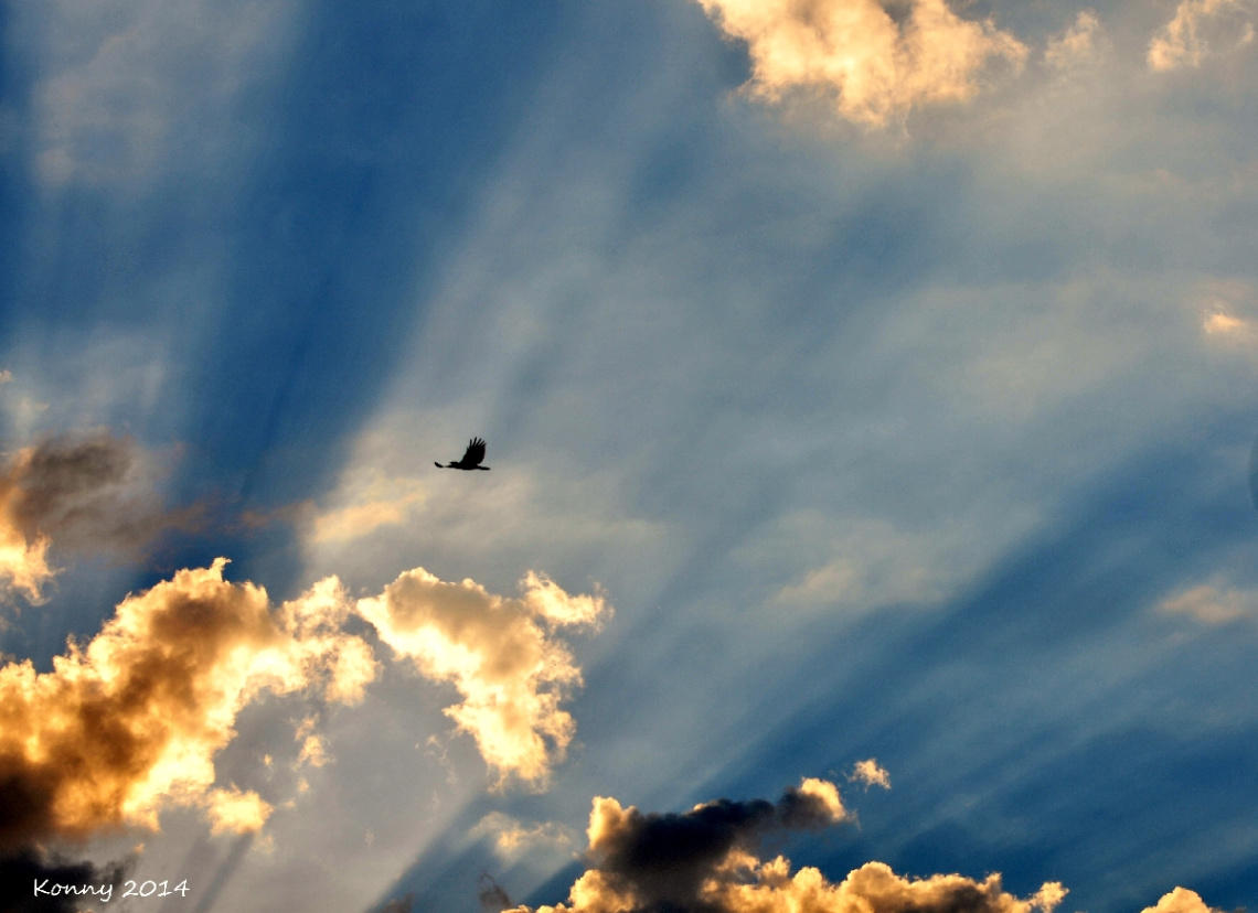 between the clouds