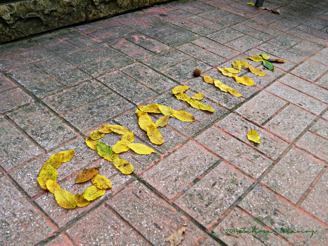 GrafiMX..