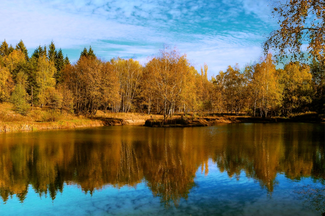 autumn
