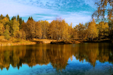 autumn