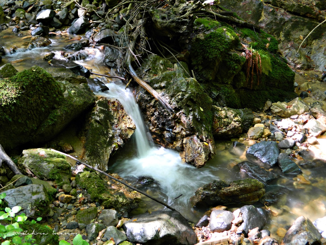 Nüzhetiye.. 