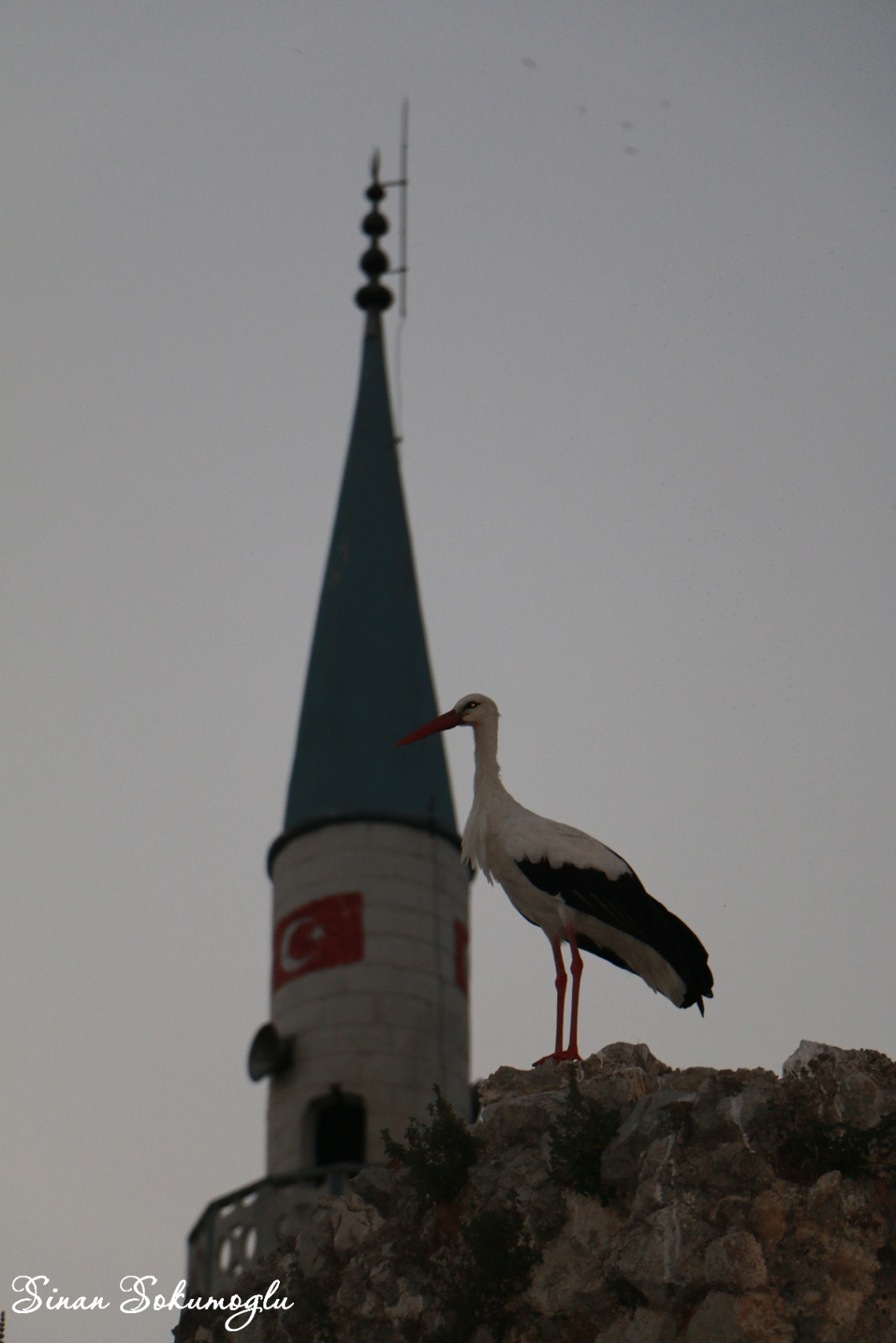 yorumsuz