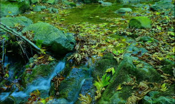 SONBAHARIN AYAK SESLERİ