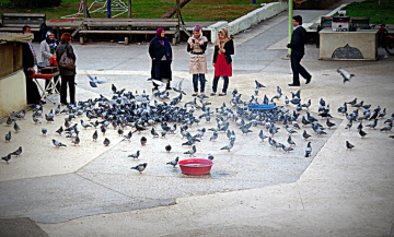 Göçmenler